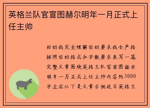 英格兰队官宣图赫尔明年一月正式上任主帅